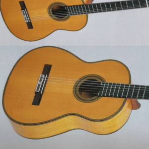 Chitarra